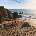 Pop N Go Play Pen + Mattress Combo // Orange