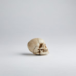 Skull Shift Knob + Red Eyes