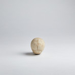 Skull Shift Knob + Red Eyes