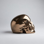 Bronze Skull