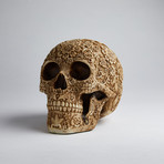 Flower Skull