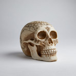 Astrology Skull