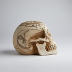 Astrology Skull