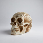 Astrology Skull