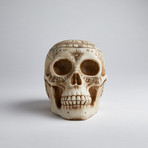 Astrology Skull