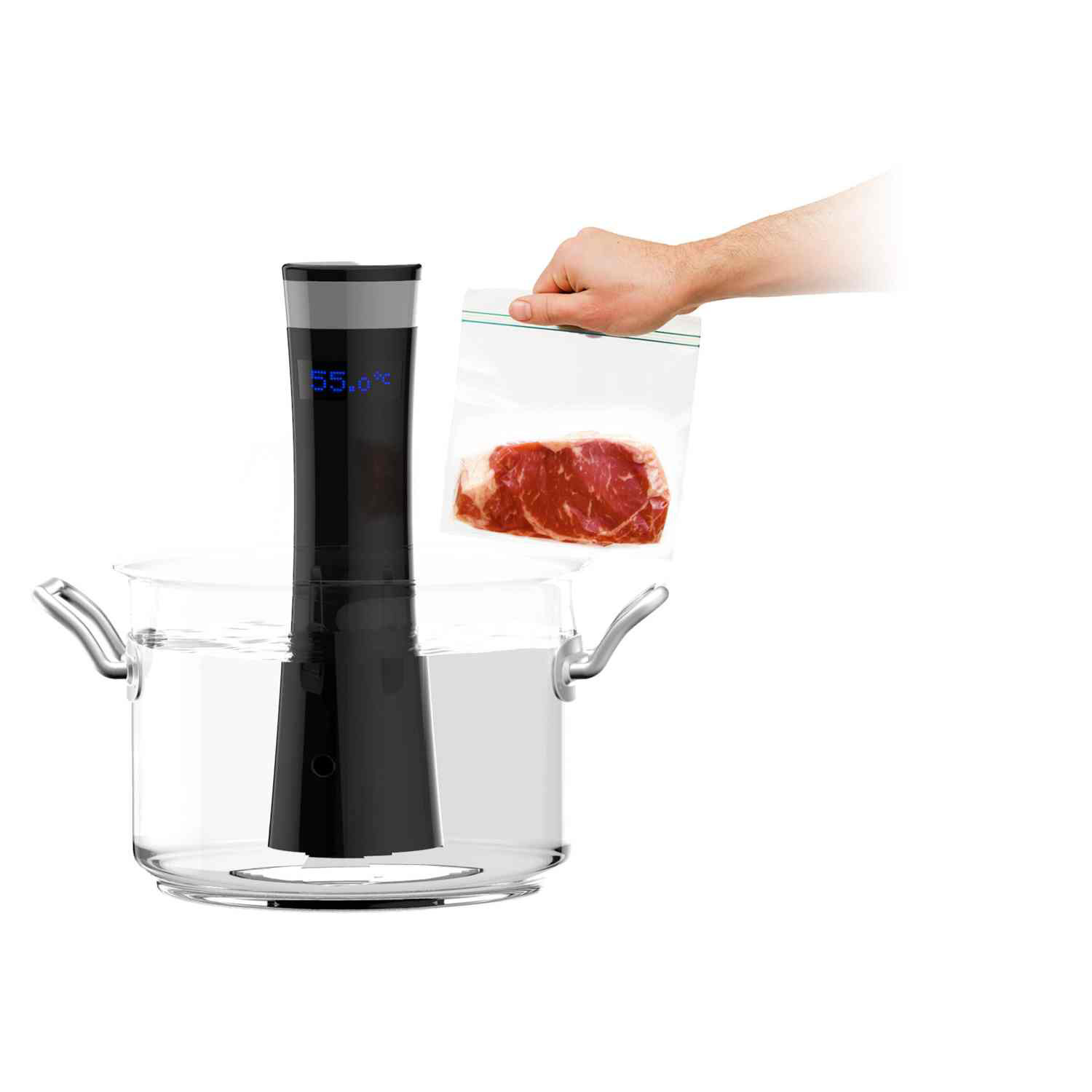 Sansaire Immersion Circulator for Sous Vide Sansaire Touch of Modern