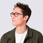 Ventus // Whiskey Tortoise