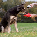 KONG Stainless Steel Dog Water Bottle // Green