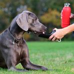 KONG Stainless Steel Dog Water Bottle // Green