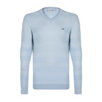 V-Neck Jumper // Light Blue (M)