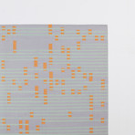 Falling Line Rug // Wildflower (Small)