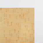 Falling Line Rug // Tumeric (Small)