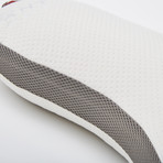 Boomerang Memory Foam Pillow