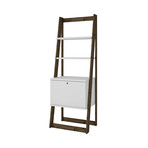 Luna Ladder Bookcase