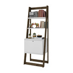 Luna Ladder Bookcase