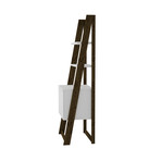 Luna Ladder Bookcase