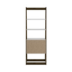 Luna Ladder Bookcase