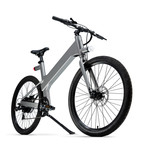 Flash v1 Electric Bike (Charcoal)