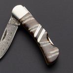 Woolly Mammoth Tooth Collection // 3" Damascus Lockback Knife