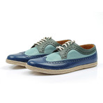 Cristobal Shoe // Blue (Euro: 39.5)