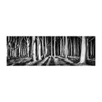 Black And White Path (59"W x 39"H x 1"D)