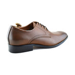 Stu Lace // Tan (Euro: 40)