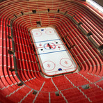 NHL // Detroit Red Wings