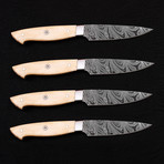 Damascus Steak Knife Set // 4 Piece Set // 9746