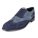 Canali // Suede Wingtip Oxford // Blue (US: 7)