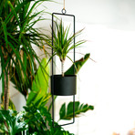 Upright Hanging Planter // Set of 2 // Small (Matte Black)