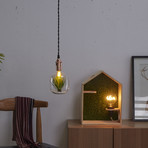 Green House + Star Light Bulb