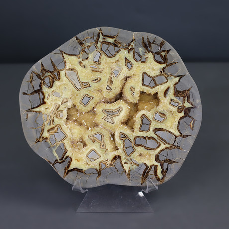 Large Septarian Nodule Slice