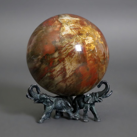 Petrified Wood Sphere // 4.5"