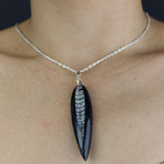 Polished Orthoceras Pendant (Gold Chain)