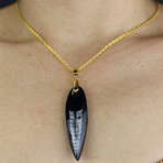 Polished Orthoceras Pendant (Gold Chain)