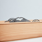 SanSui Bonsai Humidifier + Diffuser