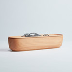 SanSui Bonsai Humidifier + Diffuser