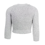 Metallic Cropped Crewneck Sweater // Silver (Euro: 36)
