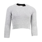 Metallic Cropped Crewneck Sweater // Silver (Euro: 36)