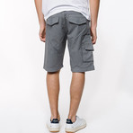 Washed Cargo Distressed Shorts // Asphalt Grey (36)