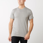 Organic Cotton Semi-Fitted Crew Neck T-Shirt // Silver (2XL)