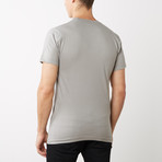 Organic Cotton Semi-Fitted Crew Neck T-Shirt // Silver (2XL)