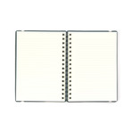 A5 Ruled Studio Notebook // Eucalyptus // Set of 2