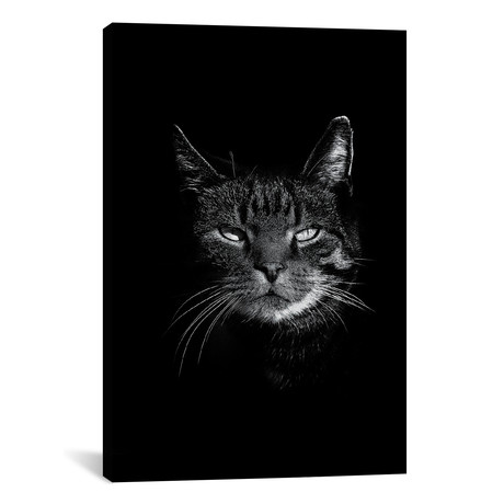 Dark Cat (18"W x 26"H x 0.75"D)