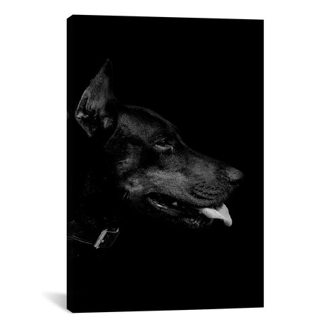 Dark Dobermann (18"W x 26"H x 0.75"D)