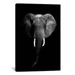 Dark Elephant I