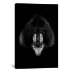 Dark Mandrill (18"W x 26"H x 0.75"D)