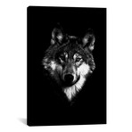 Dark Wolf I