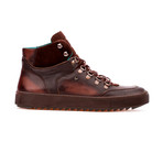 Barron // Dark Brown (Euro: 42)