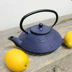 Dragonfly Cast Iron Teapot